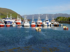 Norvège - Kamoyvaer
