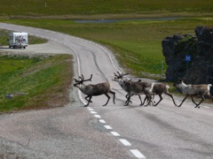 Norvège - sur la route d'Havoysund