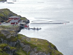 Norvège - sur la route d'Havoysund