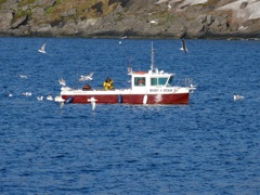 Norvège - Skarsvag