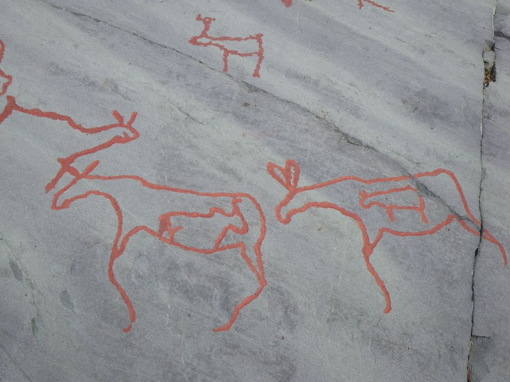 Norvège : Alta, gravures rupestres