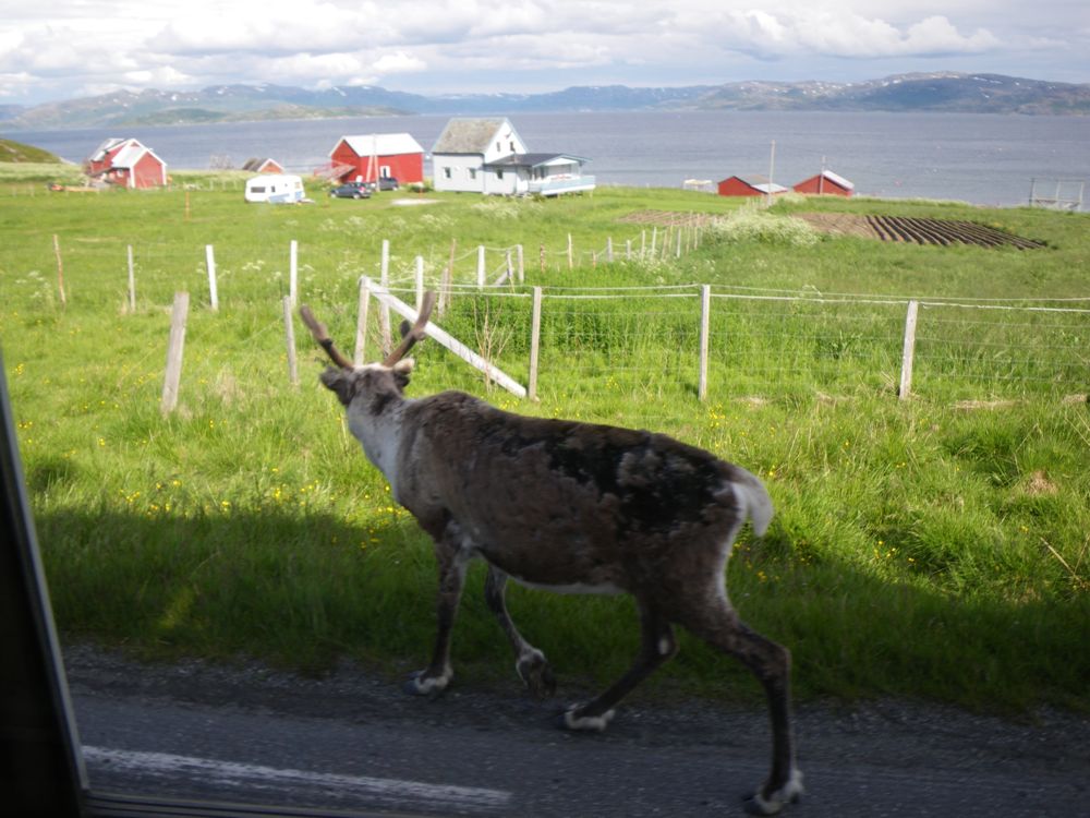 Norvège : sur la route d'Oksfjord