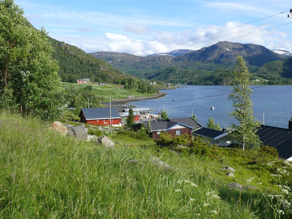 Norvège : sur la route d'Oksfjord