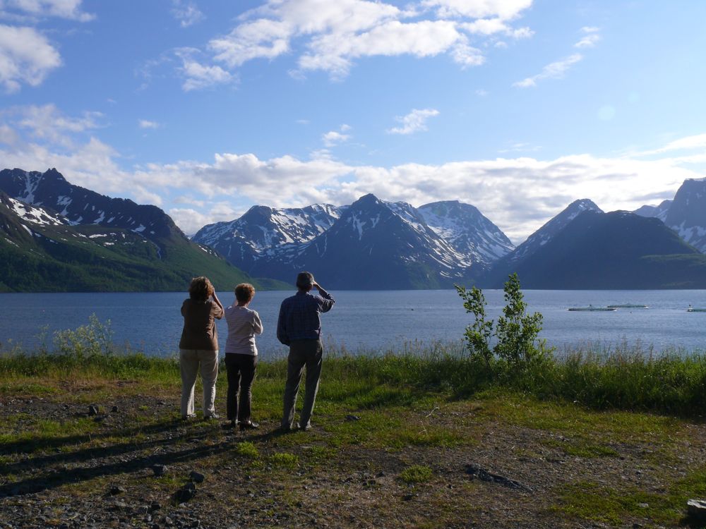 Norvège : sur la route d'Oksfjord