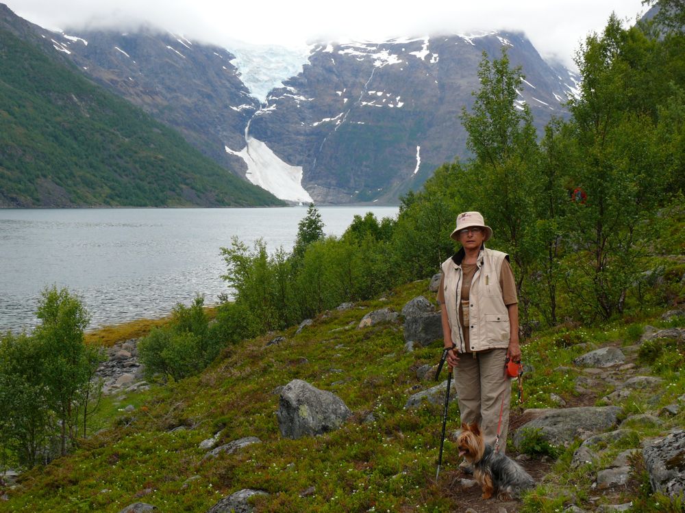 Norvège : rando vers le glacier de Jokelfjord