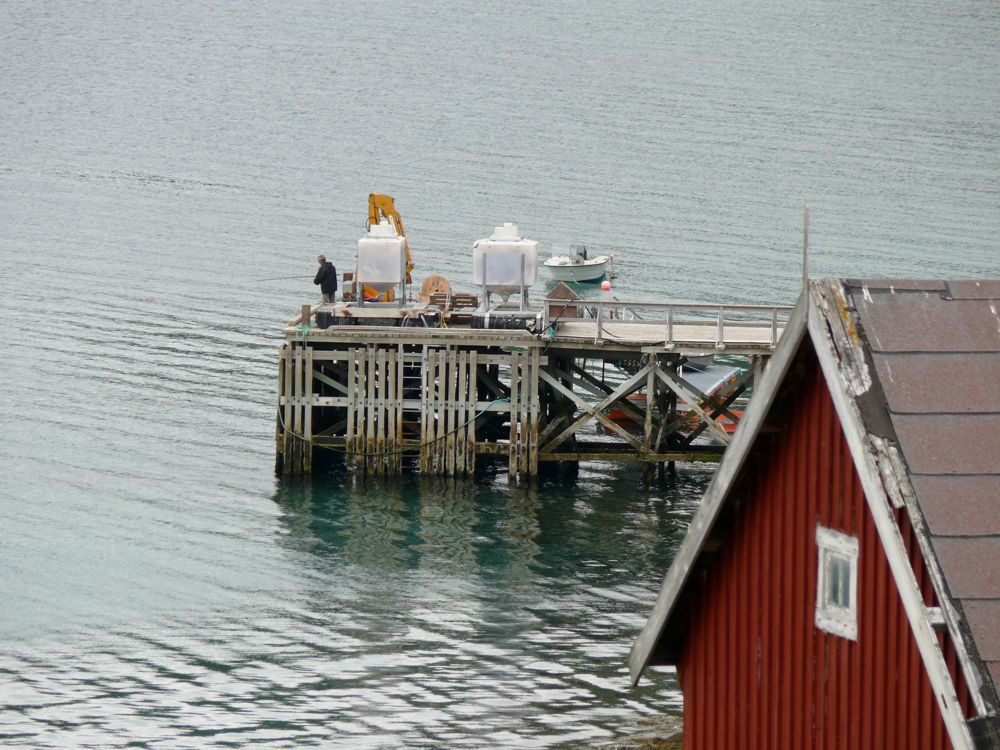 Norvège : Hombukt