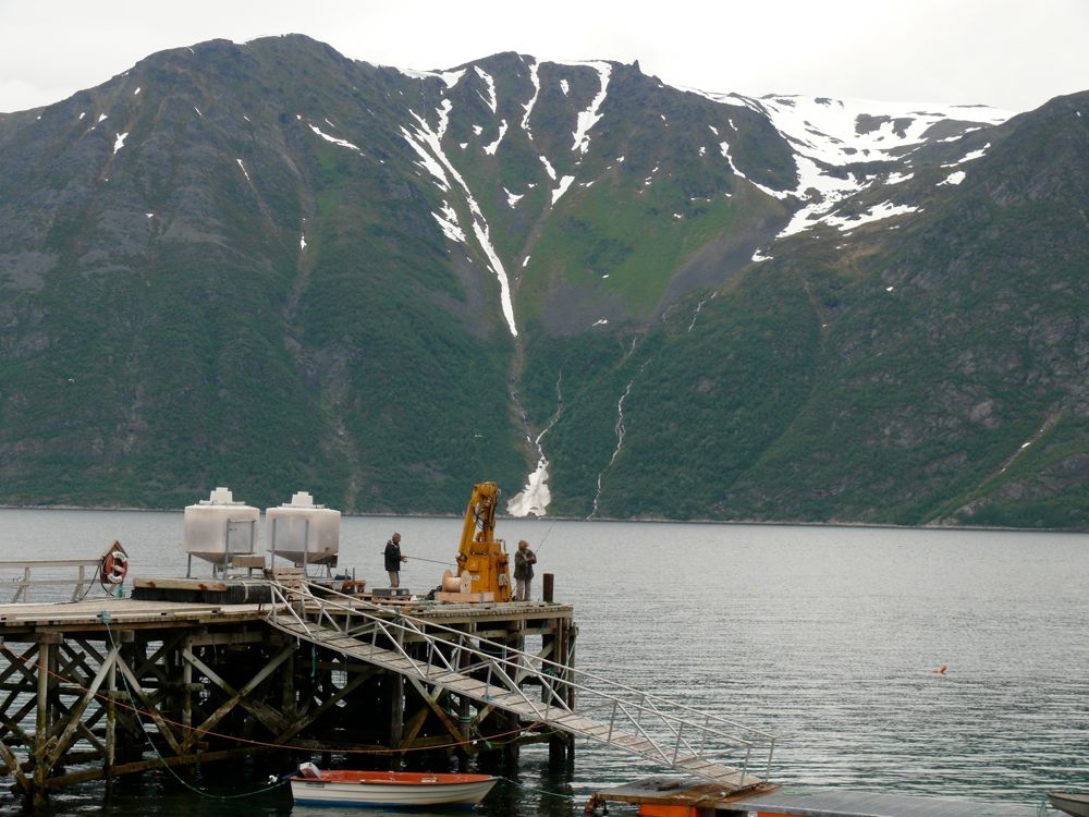 Norvège : Hombukt