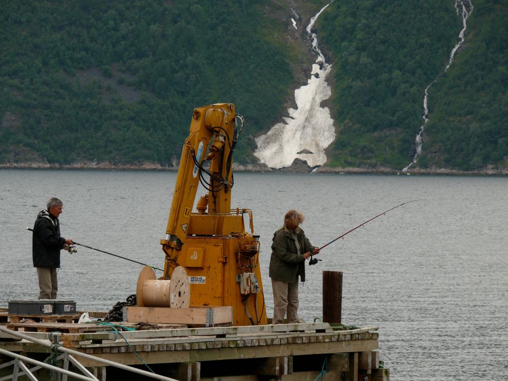 Norvège : Hombukt