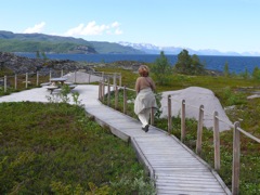 Norvège : Alta, gravures rupestres