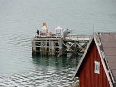 Norvège : Hombukt