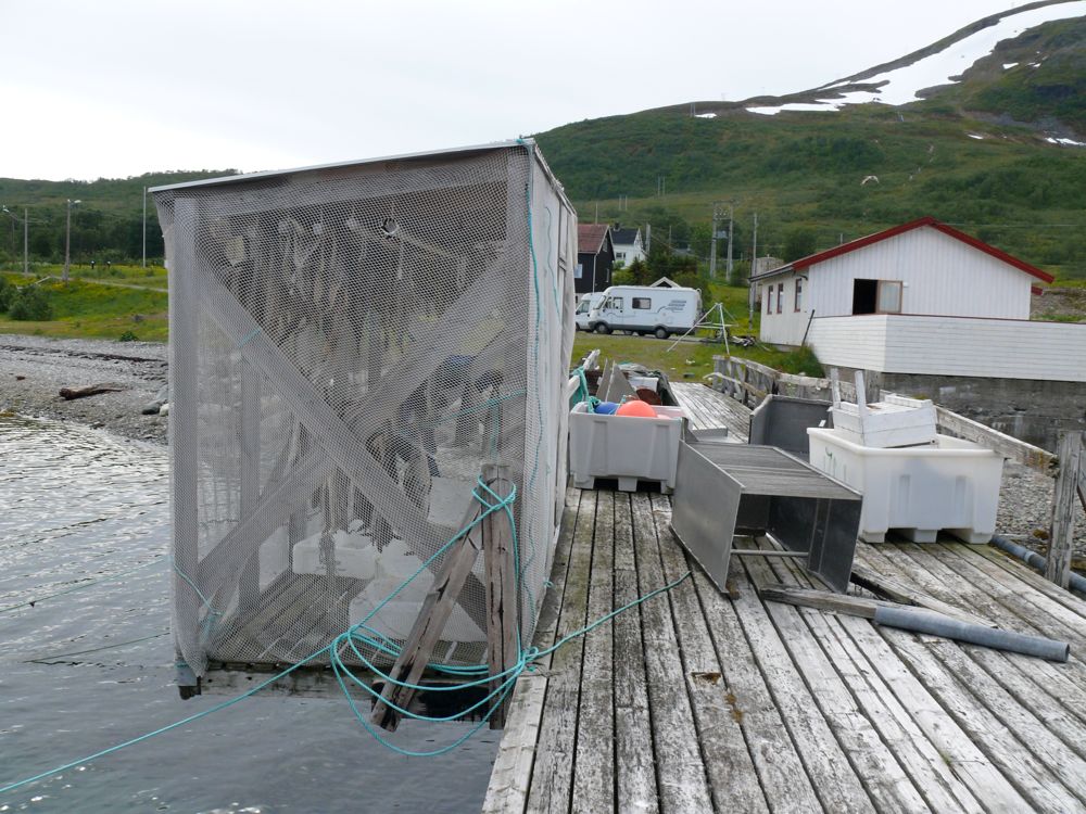 Norvège : Arnoya - Akkarvik