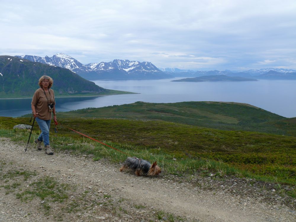 Norvège : Arnoya - rando sur le mont Trolldastind 