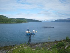 Norvège : en route vers l'ile d'Arnoya
