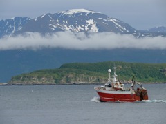 Norvège : en route vers l'ile d'Arnoya