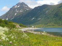 Norvège : Arnoya - autour  d'Akkarvik