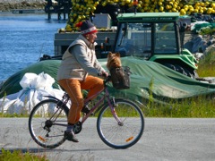 Norvège : Sommaroy