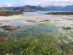 Norvège : Sommaroy