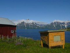 Norvège : Glaciers du Lingen