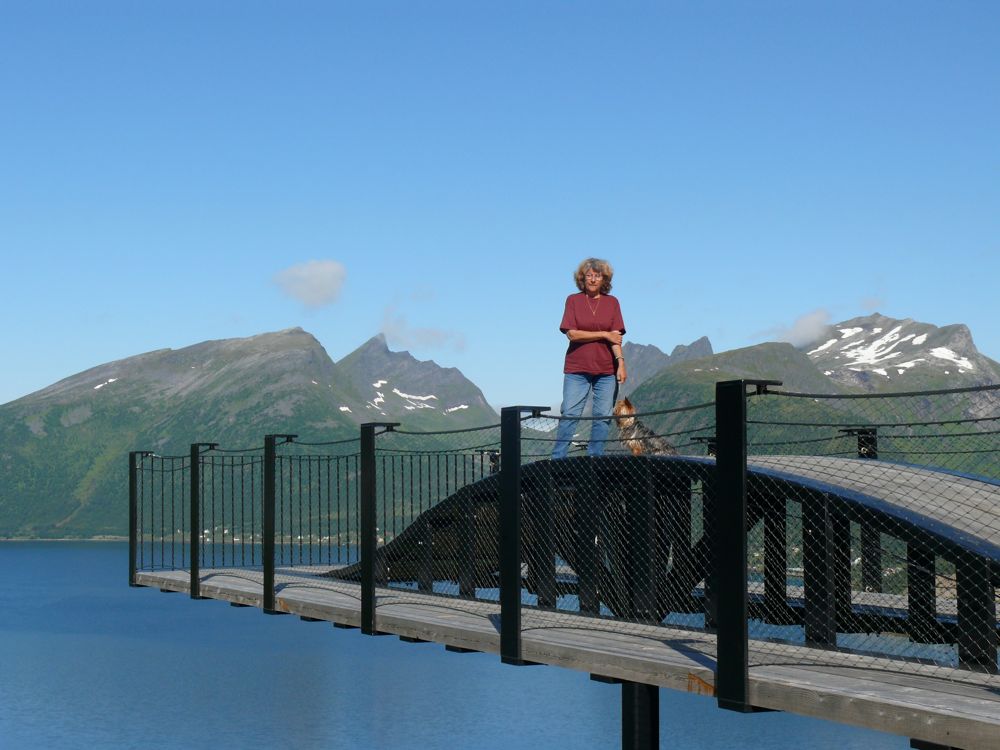 Norvège : sur la route de Gryllefjord