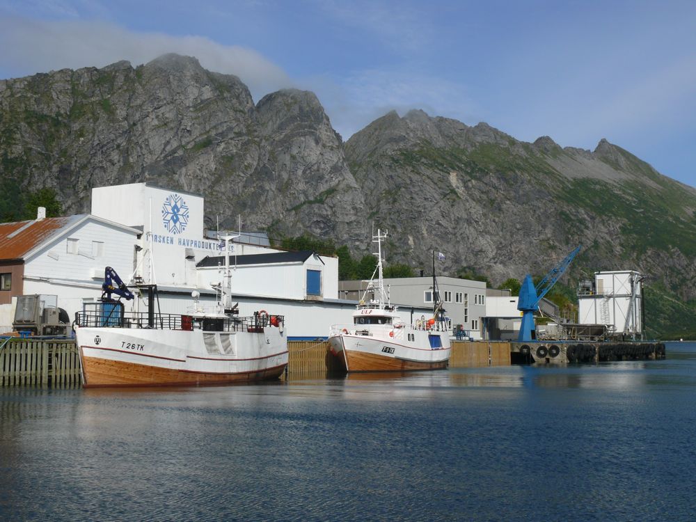 Norvège : Gryllefjord