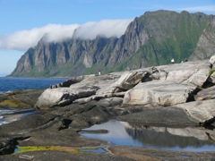 Norvège : sur la route de Steinfjord