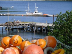 Norvège : Gryllefjord