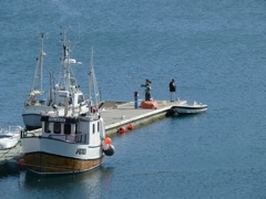 Norvège : Gryllefjord