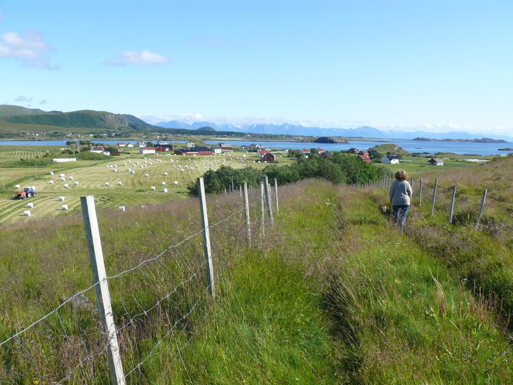 Norvege : balade à  Skarvagen