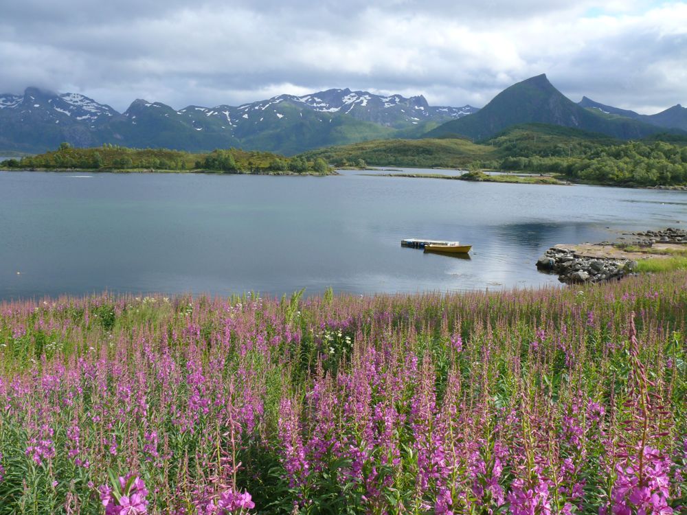 Norvege : en route vers les Lofoten