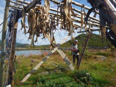 Norvege : Hoyvag