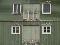 Norvege : Nyksund