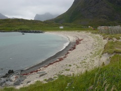 Norvege : Hovden