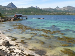 Norvege : Rinoyvag