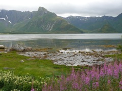 Norvege : en route vers les Lofoten