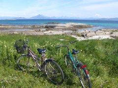 Norvege : Rinoyvag