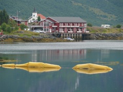 Norvège : sur la route des Lofoten