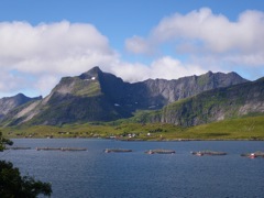 Norvège : sur la route de Reine
