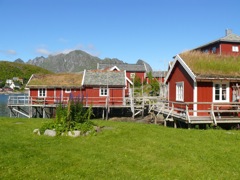 Norvège : Reine