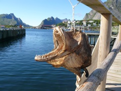 Norvège : Reine