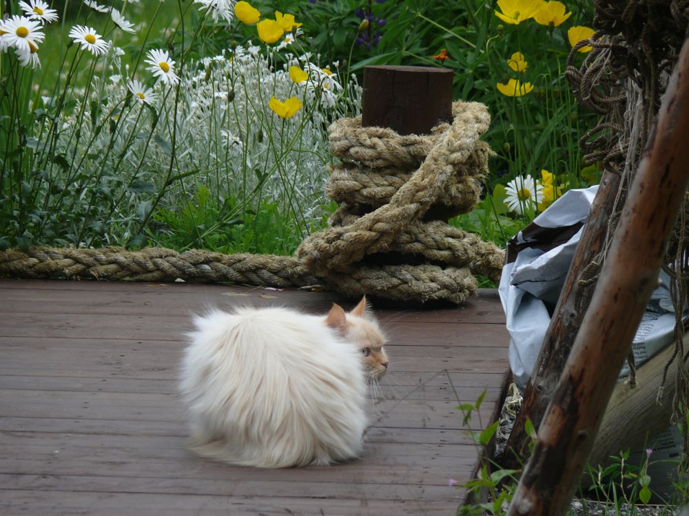 Norvège ; Myrland