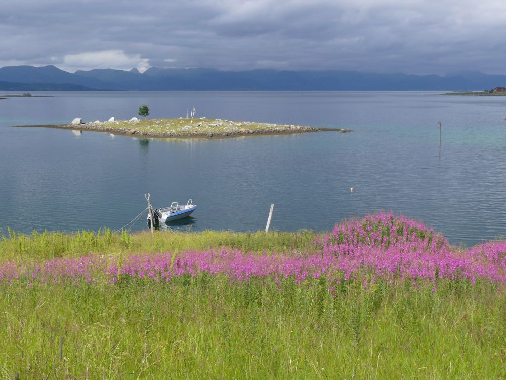 Norvège ; Myrland