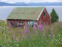 Norvège ; Myrland