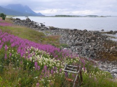 Norvège ; Myrland